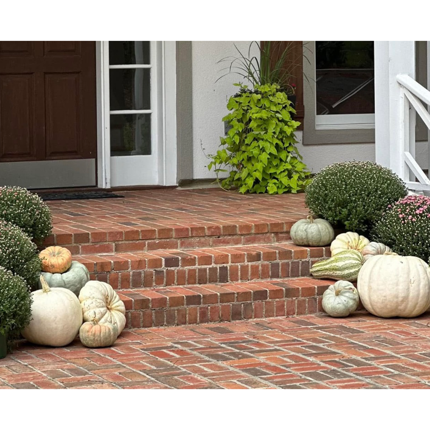 #5 Package: Deliver Directly to Your Doorstep Included
